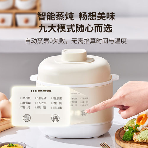 出口110V电源迷你电炖盅小型电炖锅隔水炖锅台湾日本美国加拿大