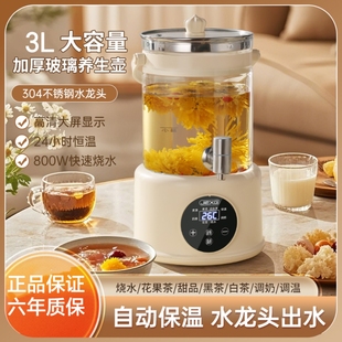 德国品质养生壶花茶壶3L大容量养生壶煮茶器药膳花茶烧水壶恒温壶