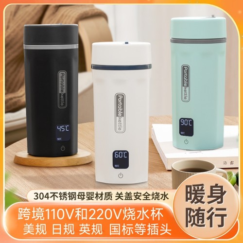 跨境110V和220V便携式烧水杯