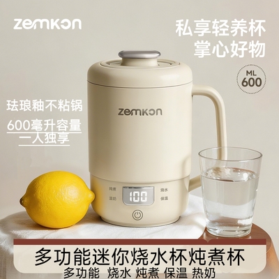 烧水壶多功能养生壶迷烧水炖煮杯