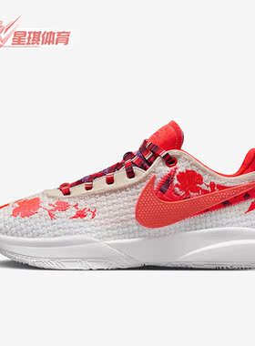 Nike/耐克正品LEBRON XX PREMIUM EP男女实战篮球鞋FJ0724