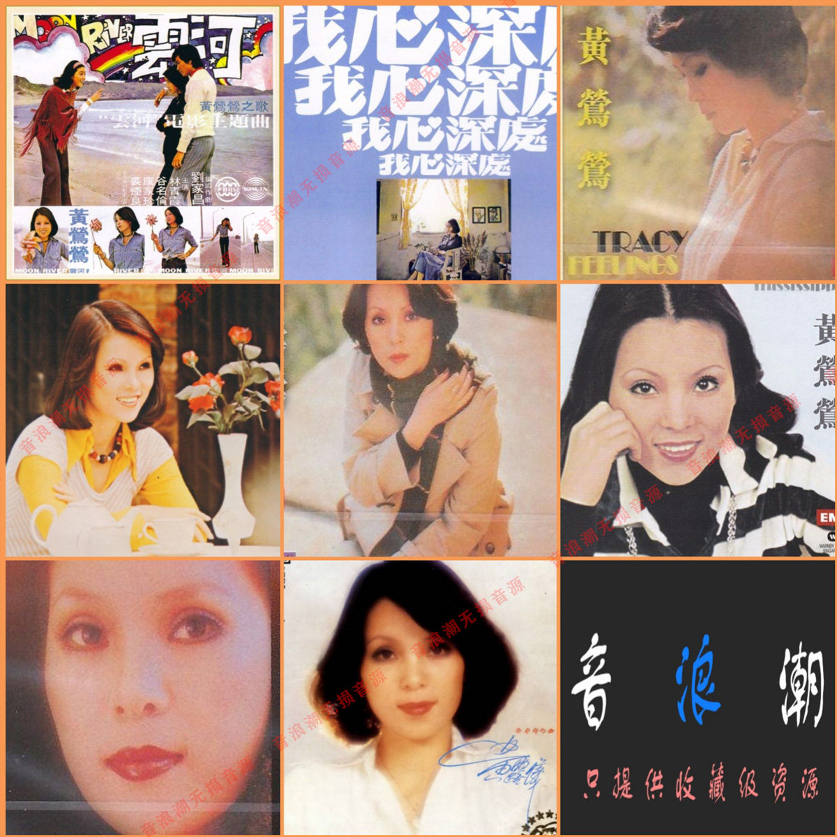 黄莺莺•音浪潮无损音源•专业精校52张分轨 收藏合集