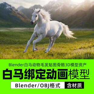 OBJ Blender白马动物毛发贴图骨骼3D模型资产blend