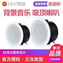 惠威 Hivi TD206A带后罩吸顶喇叭卫生间天花音响浴室防水天花音箱