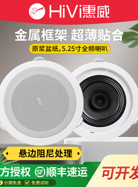 Hivi/惠威 TD206店铺背景音乐TD205定压吸顶喇叭门店吊顶天花音响