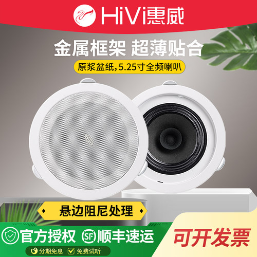 Hivi惠威店铺背景音乐td205定压
