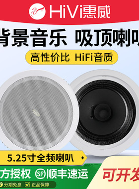 Hivi/惠威 TD201吸顶喇叭店铺背景音乐天花音箱广播音响吊顶喇叭