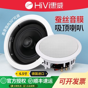 C吸顶喇叭背景音乐同轴音箱会议天花吊顶音响套装 VX6 惠威 Hivi