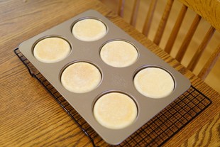 出口日本6连英式蛋糕麦芬面包模具 红豆饼麦满分烤盘模含盖