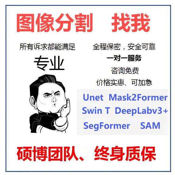 图像分割代做pytorch代码Unet定制优化Swin算法调试模型SegFormer