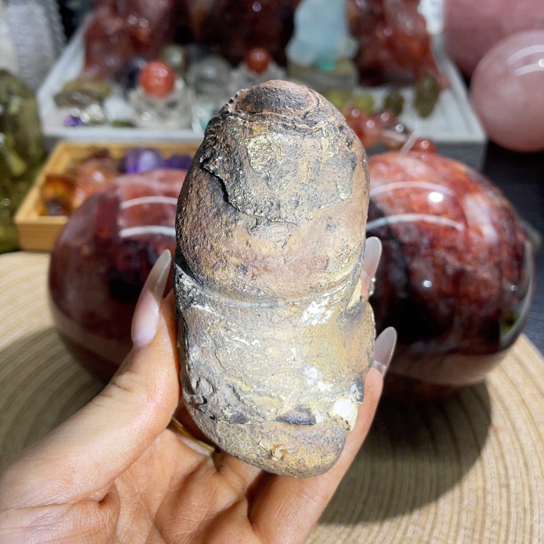 罕见埃及灵修古磐石210克