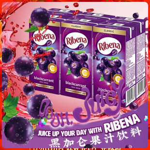 果汁饮料 夏季 马来西亚进口Ribena利宾纳黑加仑子饮品200ml 6盒