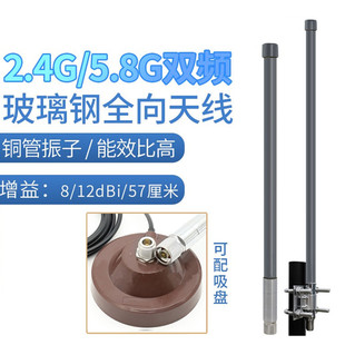 联必达2.4G 双频玻璃钢全向天线 wifi基站无线覆盖 可定制 5.8G