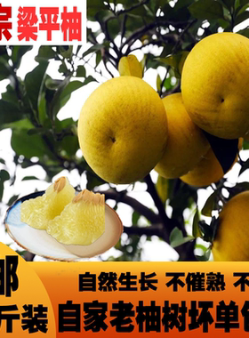 重庆梁平特产梁山柚麻柚平顶柚柚子当季农家天然水果新鲜包邮