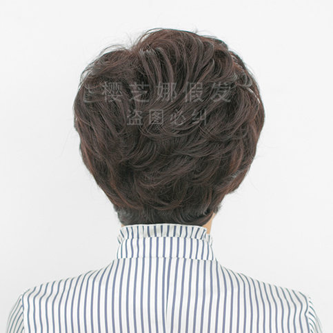 Perruque OTHER   cheveux courts - Ref 2610184 Image 4