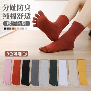 中筒五指袜四季可穿时尚与舒适兼得 龙图九色