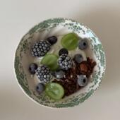 takemehome浪漫古典玫瑰花卉碗6寸麦片酸奶碗饭碗汤碗沙拉brunch