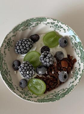 takemehome浪漫古典玫瑰花卉碗6寸麦片酸奶碗饭碗汤碗沙拉brunch