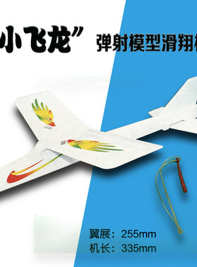 儿童科普拼装手工小飞龙