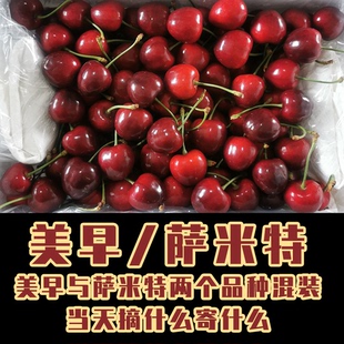【厚德园丨美早萨米特】山东露天富硒车厘子大樱桃（截单等发货）