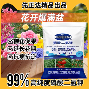 中化99%高纯度磷酸二氢钾花肥料膨果增甜着色促花爆花水溶叶面肥