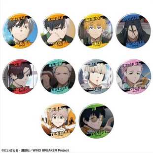 日谷 WIND BREAKER 防风铃 TV场面写名字吧唧徽章 周边H0611