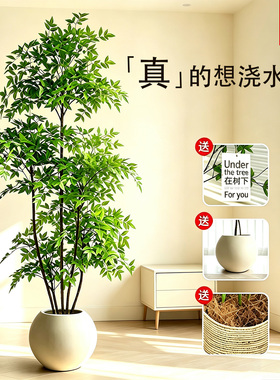 仿真绿植假南天竹室内装饰盆栽大型落地摆件客厅轻奢仿生植物造景