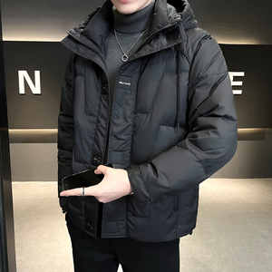 @店主风-抖音设计感白鸭绒羽绒服潮流男连帽上衣1832-P190图片