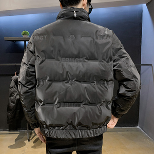 @店主风-冬季新款羽绒服l立领潮流男外套-YR812-P100图片
