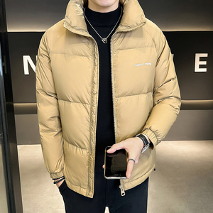 @店主风-跑量冬外套纯色立领羽绒服潮流男上衣YR869-特P110图片