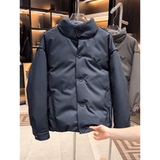 网图@白鹅绒-黑武士轻奢百搭外套羽绒服潮流立领男上衣YR100-P260，男装羽绒服，电商D246