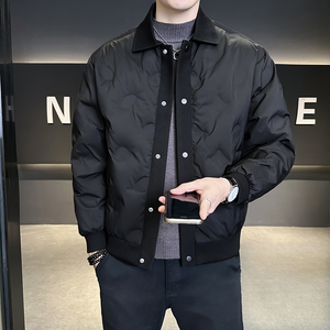 @标-新款老钱风外套羽绒服潮流男翻领上衣9952-P185图片