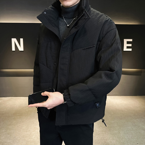 @店主风-大新标90%高克数外套羽绒服男肌理感YR870-P245图片