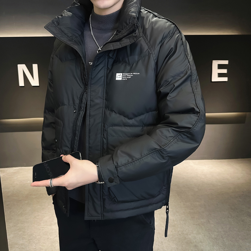 @店主风-免洗面料冬白鸭绒立领羽绒服潮流男YR308-P165，男装羽绒服，电商D246