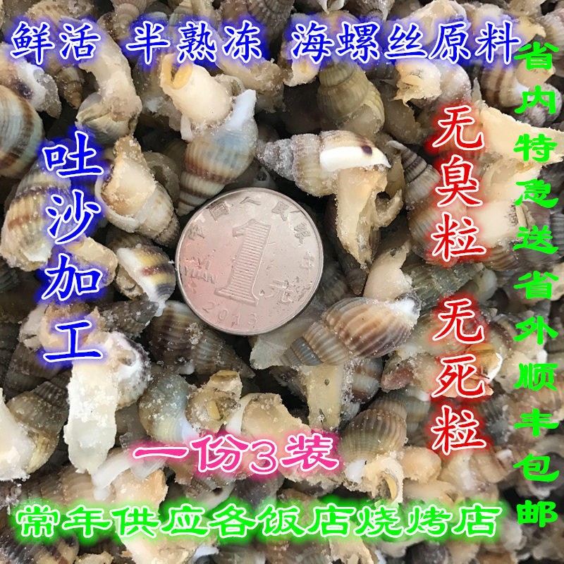 丹东东港特产鲜活海螺丝海锥海瓜子原料海螺丝海椎3斤包邮