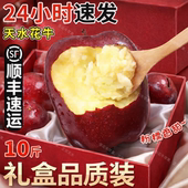 顺丰甘肃天水花牛苹果黑钻蛇红果新鲜水果粉脆苹果过新年货送礼盒