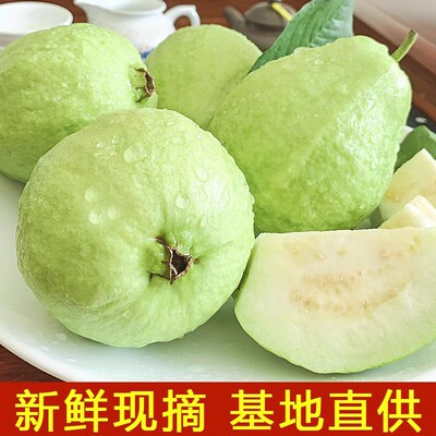 白心芭乐番石榴新鲜孕妇水果当季现摘清甜多汁新鲜现摘