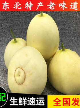香瓜东北特产新鲜包邮甜瓜超甜白糖罐京蜜瓜新鲜5斤包邮多省