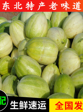 东北香瓜京蜜白糖罐甜瓜东北当季水果净重10斤包邮当季孕妇水果