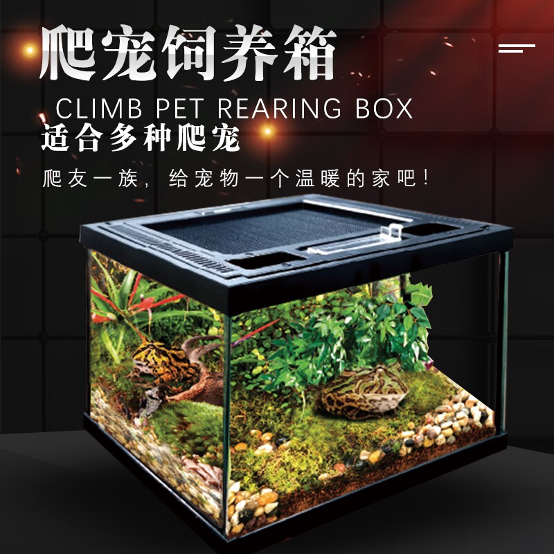 爬宠生态造景缸爬虫玻璃缸角蛙蜘蛛守宫蜥蜴陆龟饲养箱盒甲虫雨林