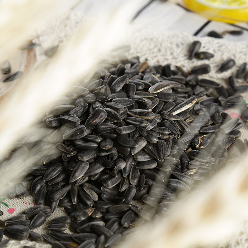 包邮 松鼠粮食用品小黑瓜子500g 磨牙吃的食物松鼠主粮仓鼠熊零食|ruв категории животное/Животное питание и принадлежностей, хомяк класса и других малых животное, корма/закуски - от Buy2taobao.com для оказания профессиональной услуги покупки агента Taobao