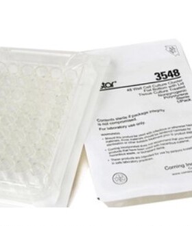 Corning/康宁 Costar 48孔细胞培养板 3548