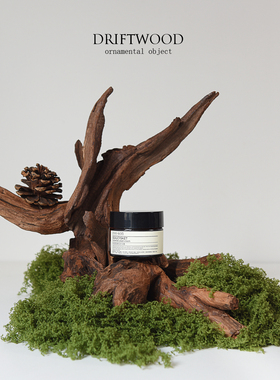 INS高级小众树桩桌面摆件沉木造景 木头树枝香薰产品拍照道具装饰
