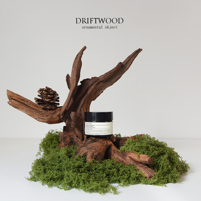 INS高级小众树桩桌面摆件