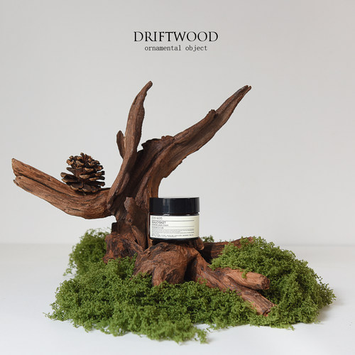 INS高级小众树桩桌面摆件