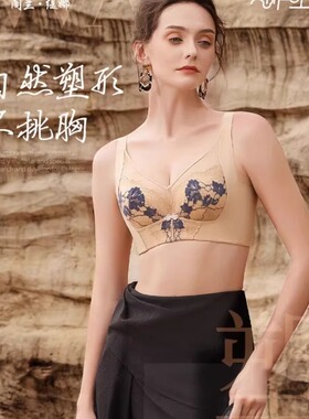 阁兰缇娜软钢圈BC杯聚拢文胸大胸显小调整型收副乳内衣8552-1