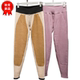 兄华女保暖裤 蚕丝骆驼绒加大护膝护腰贴片磨毛加绒 98770B加厚秋裤