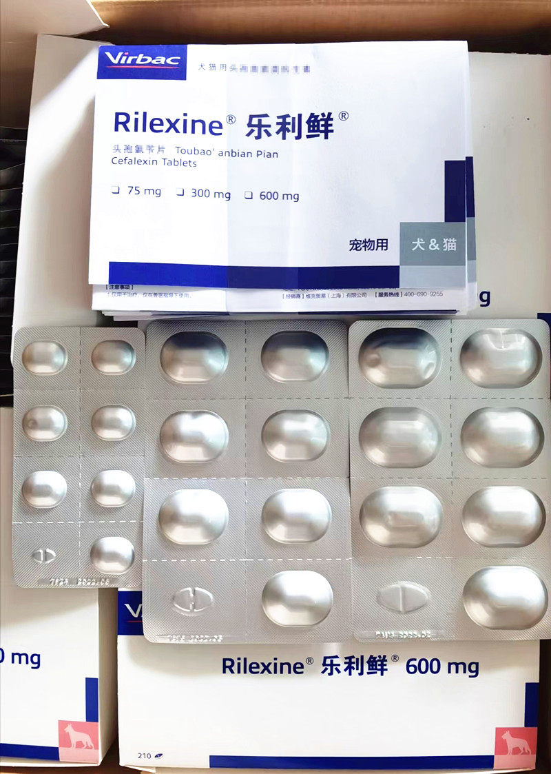 狗狗猫咪泌尿道炎尿路感染细菌感染伤口化脓皮宠物毛囊炎抗菌消炎