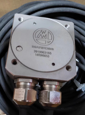 马波斯 DITTEL 发射器3919963165 14RW6653