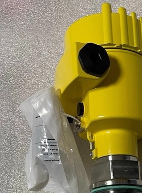 VEGAWAVE 61音叉料位开关， WE61.XXAGDRAMX